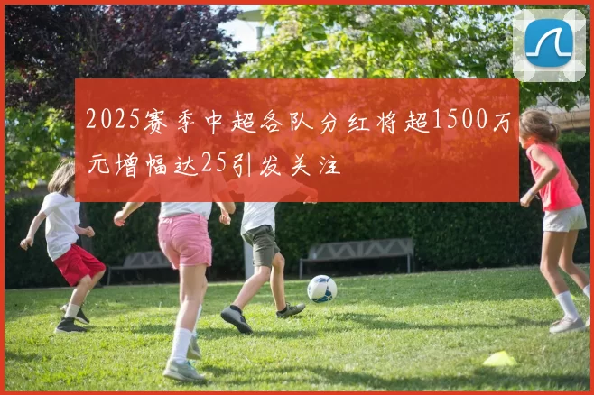 2025赛季中超各队分红将超1500万元增幅达25引发关注