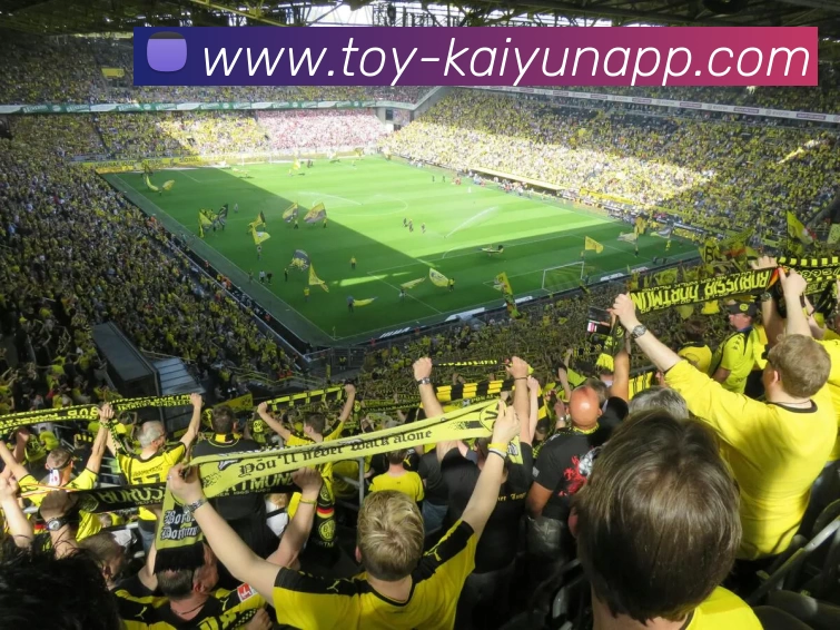 多媒体互动体验